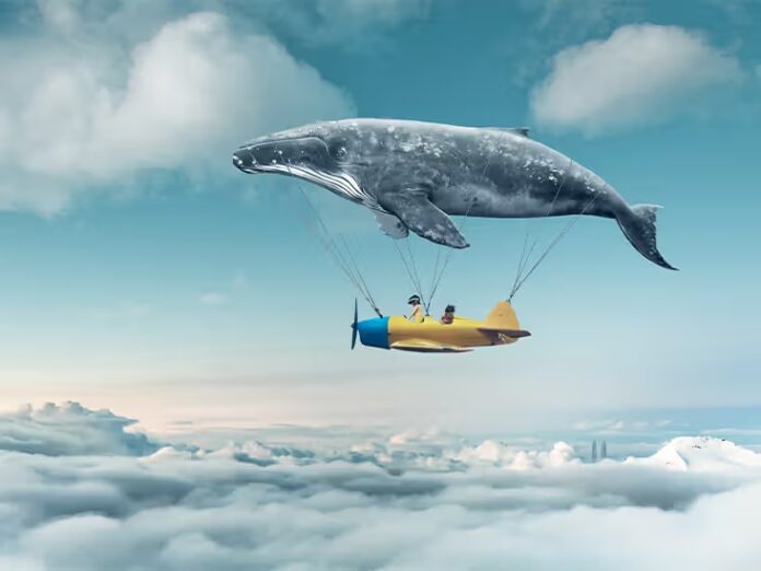 How Long Does a Dream Last